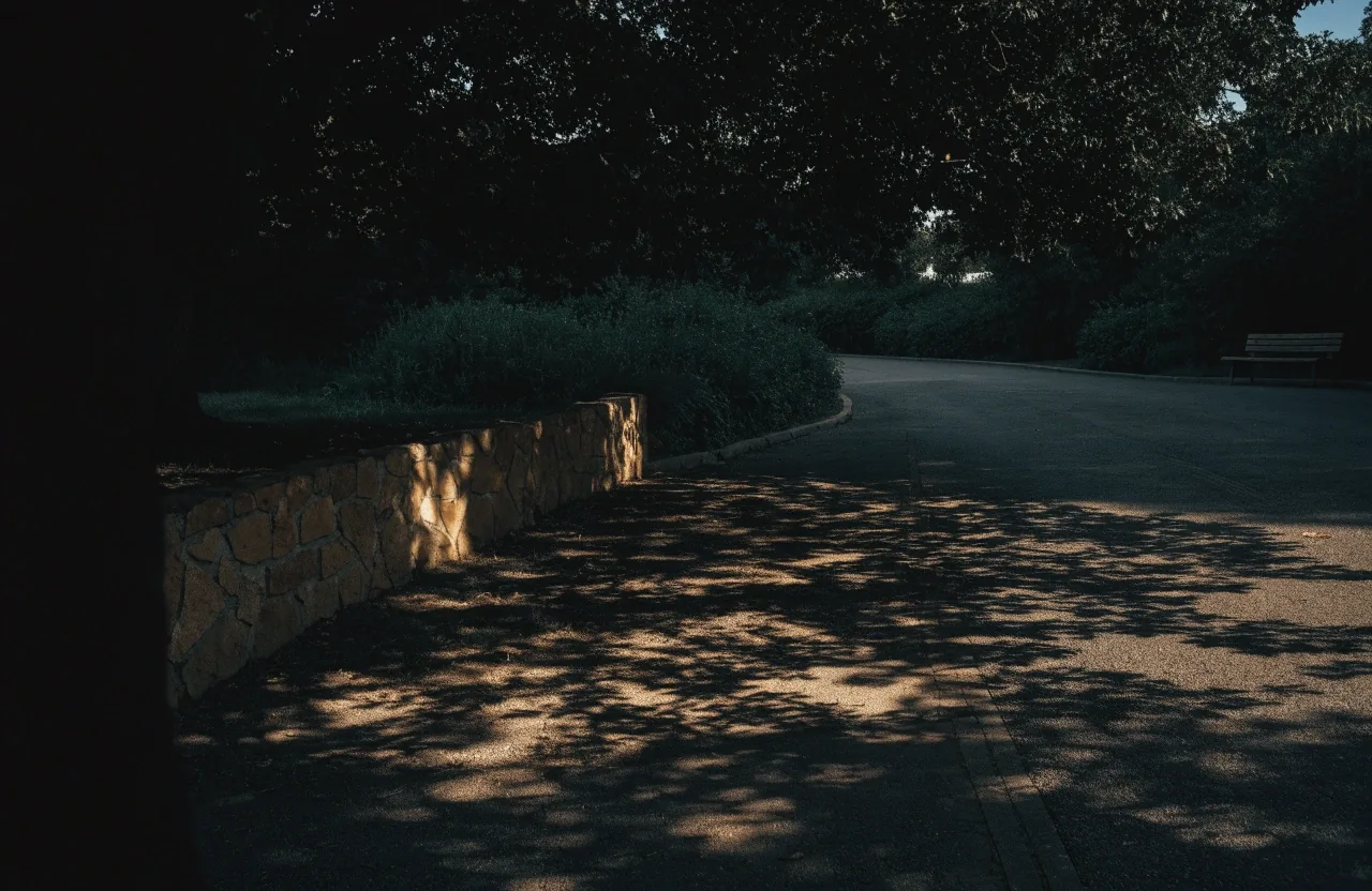 An empty paved walkway under a shade tree in Botswana, dappled shadow across the ground